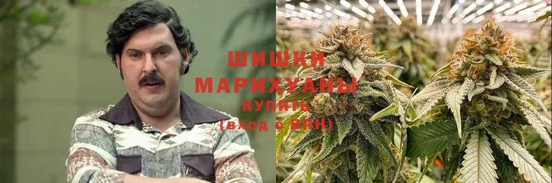 где найти   Кукмор  Бошки Шишки SATIVA & INDICA 